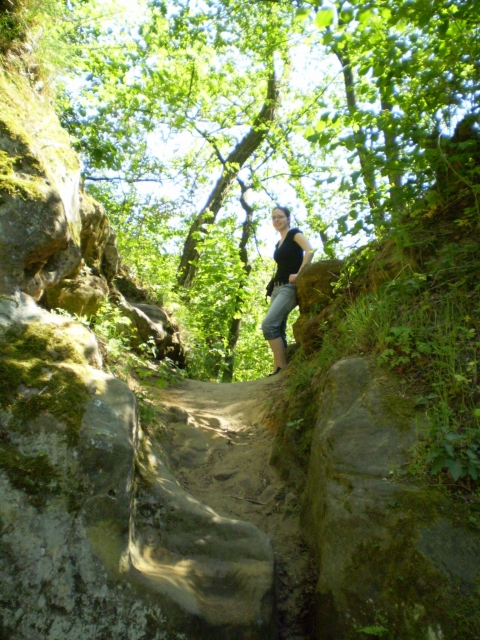 P5030388