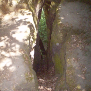 P5030393
