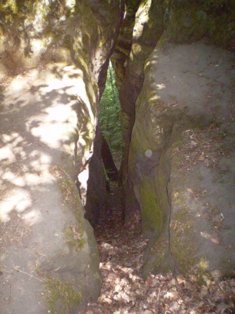 P5030393