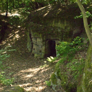 P5030397