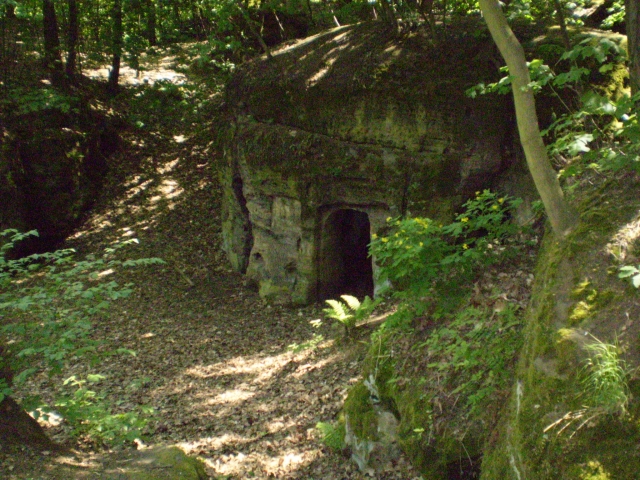 P5030397