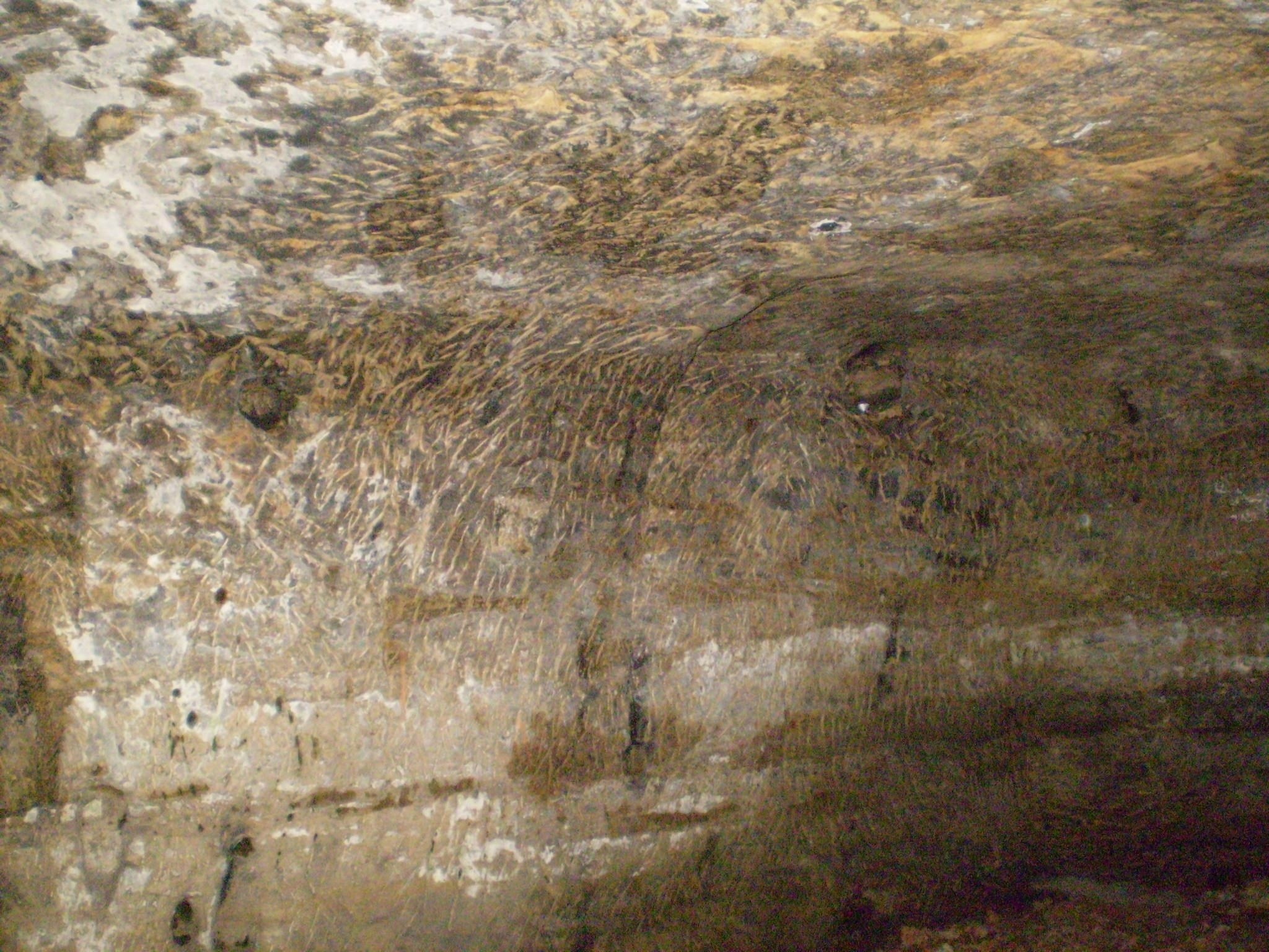 P5030398