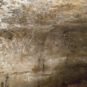 P5030398