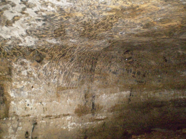 P5030398