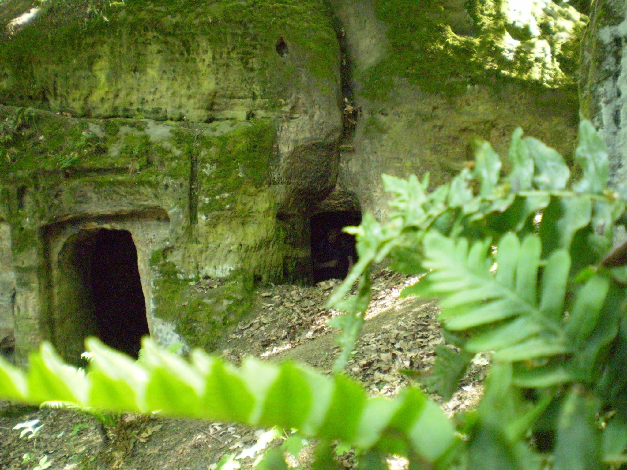 P5030399