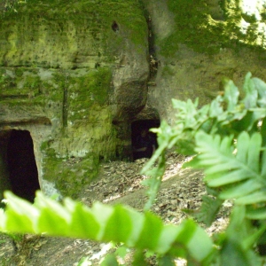 P5030399