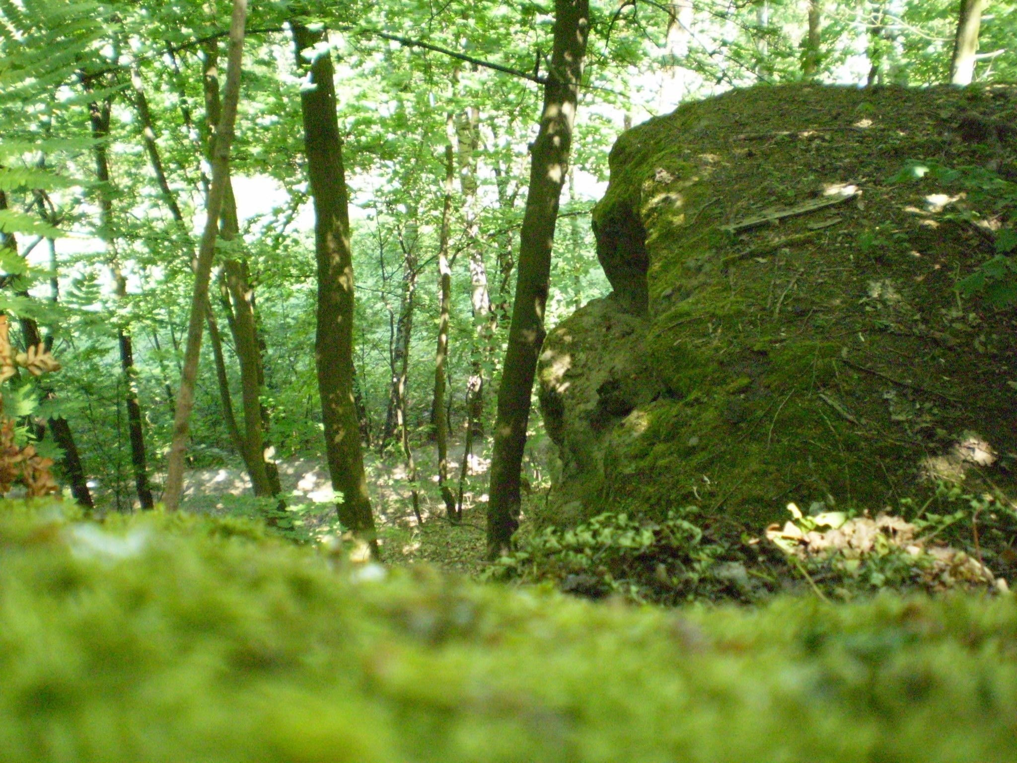 P5030401