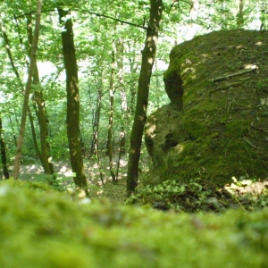P5030401