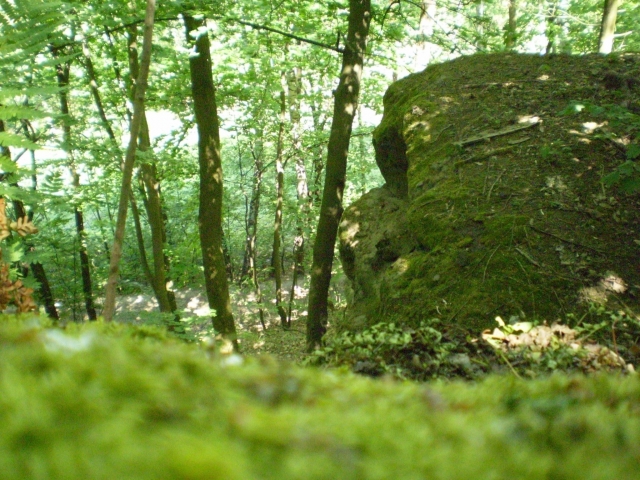 P5030401