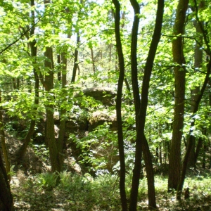 P5030402