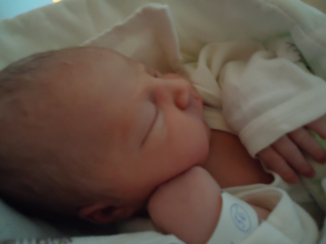 musim si podepřít hlavu