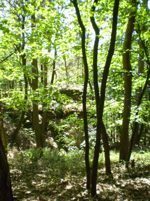 P5030402