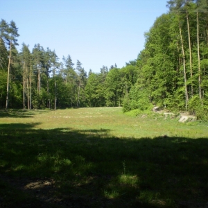 P5030403