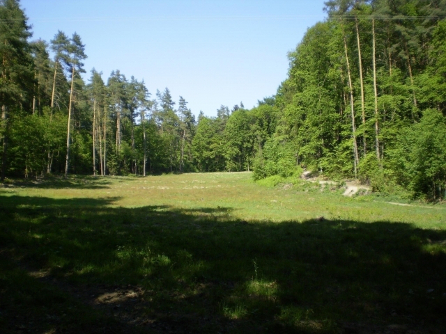 P5030403