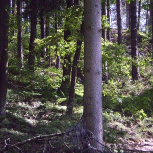 P5030404