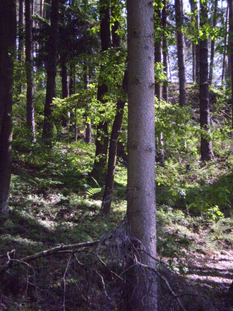P5030404