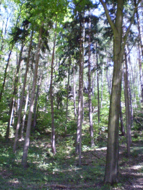 P5030406