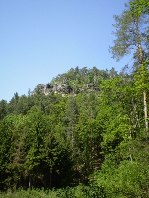 P5030407