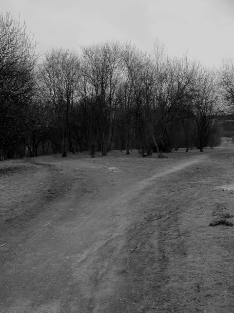 Vlevo čeká záhuba a vpravo smrt...