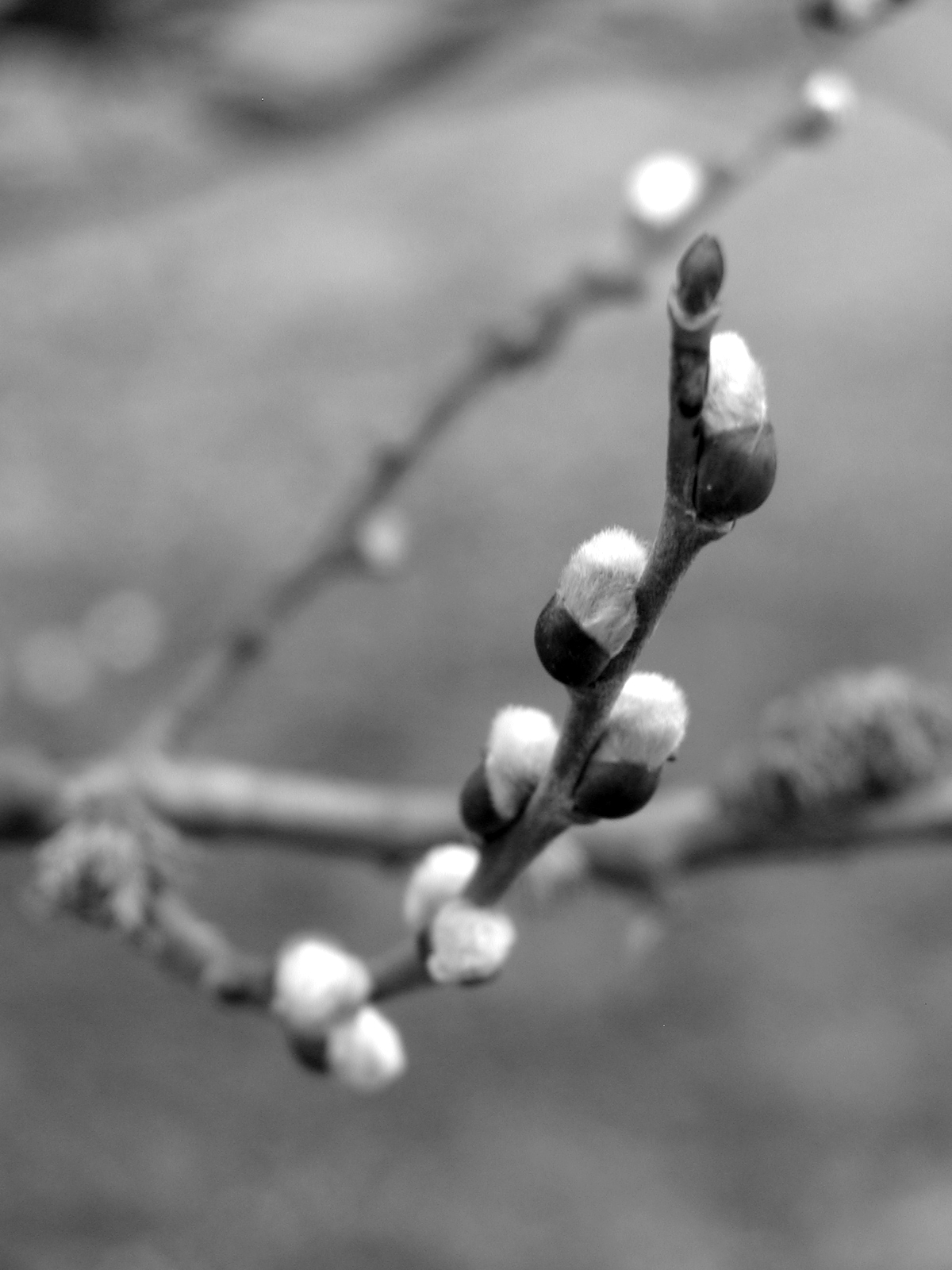 Sice jaro vytahuje drápky.. ale stále to není ono