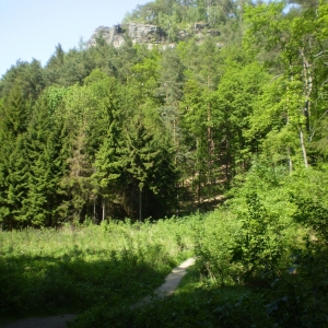 P5030408