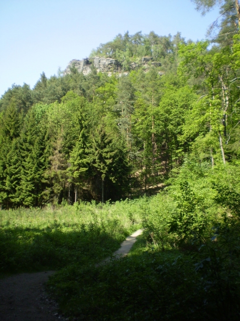 P5030408