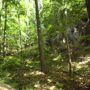 P5030409