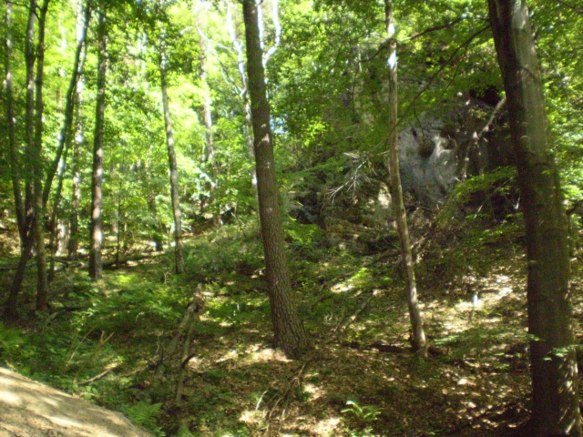 P5030409