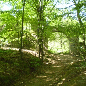 P5030411