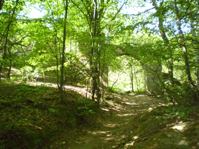 P5030411