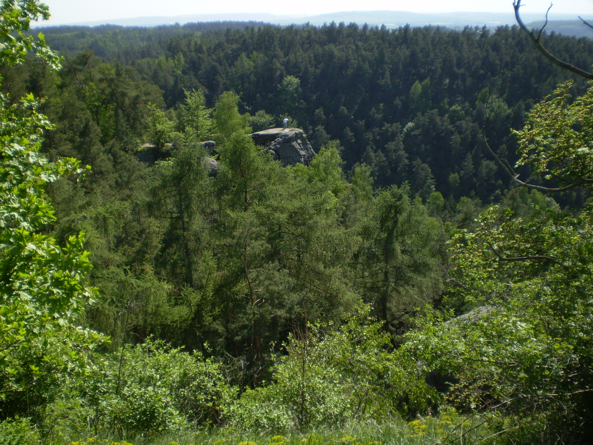 P5030412