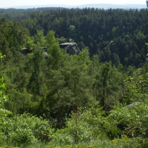 P5030412