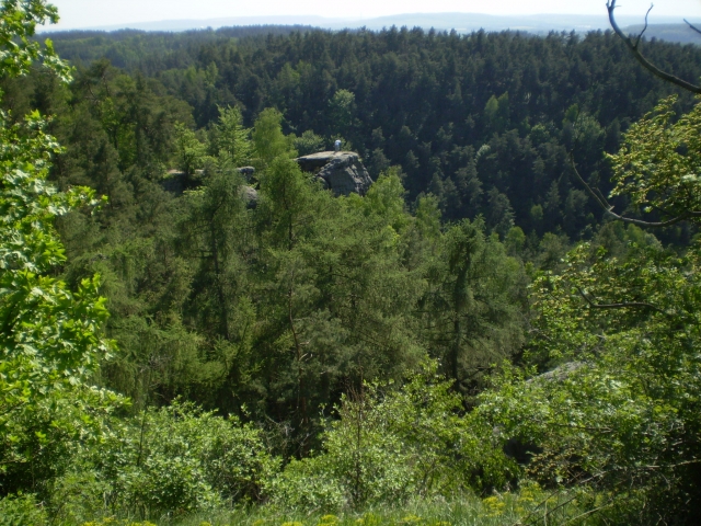 P5030412