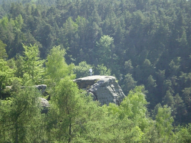 P5030413