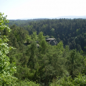 P5030414