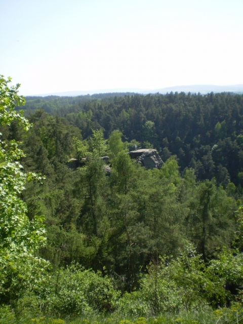 P5030414