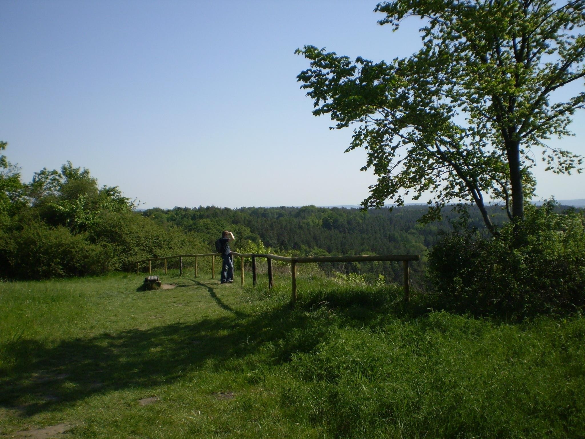 P5030417
