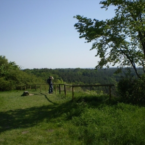 P5030417