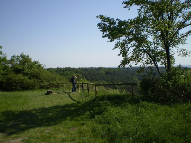 P5030417