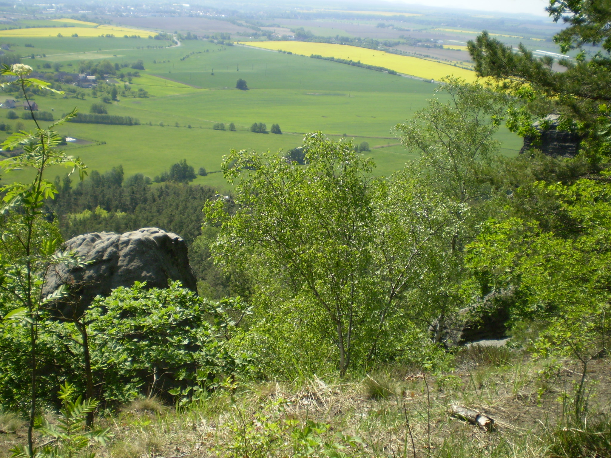 P5030418