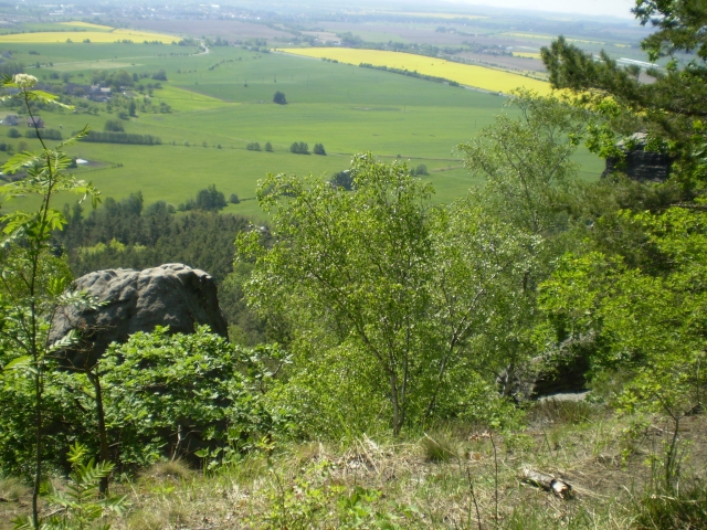 P5030418