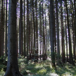 P8200001.JPG