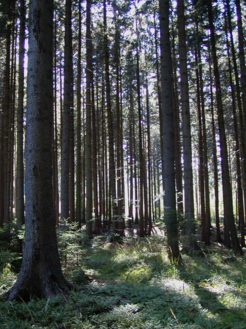 P8200001.JPG