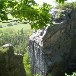 P5030419