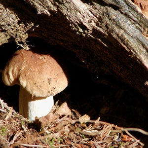 P8200026.JPG