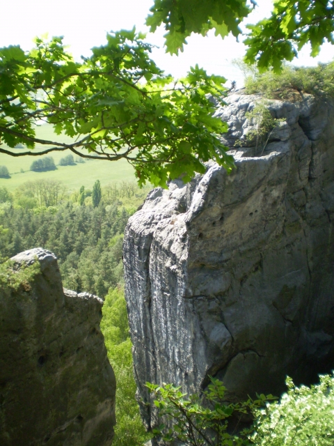 P5030419