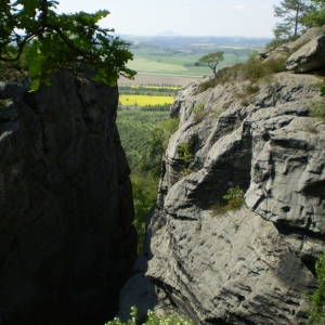 P5030420