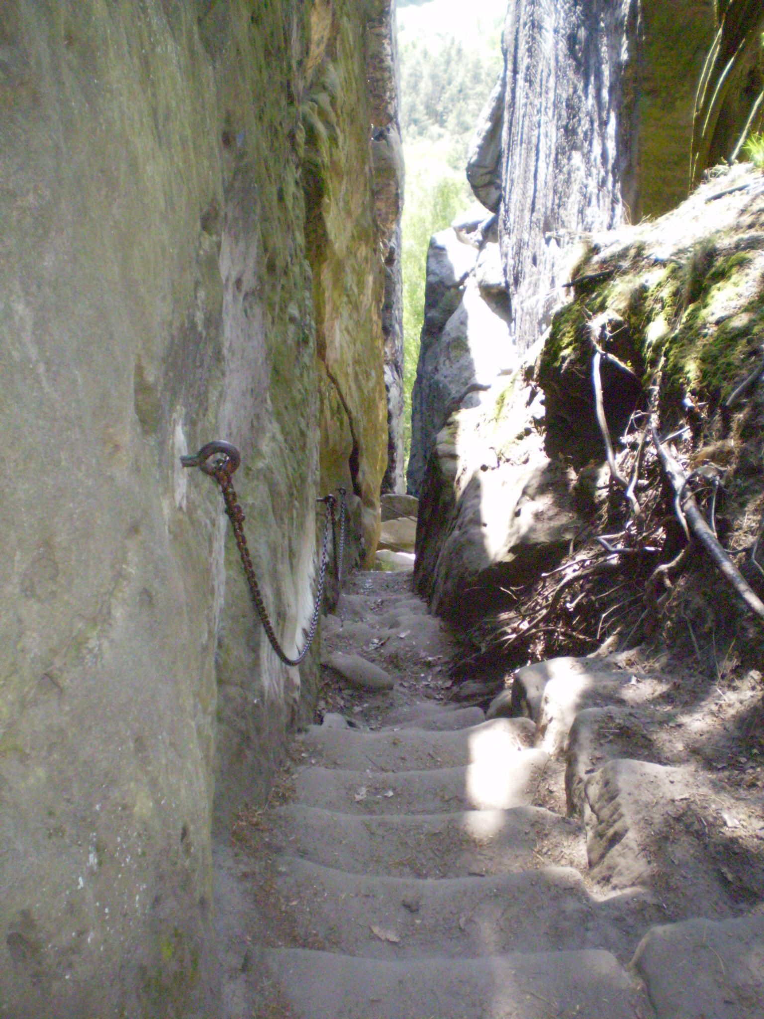 P5030423