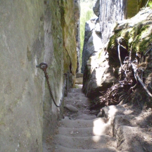 P5030423