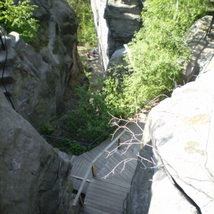 P5030426